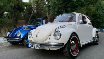 JOIN THE BEETLE